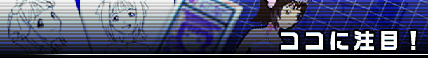 ココに注目！